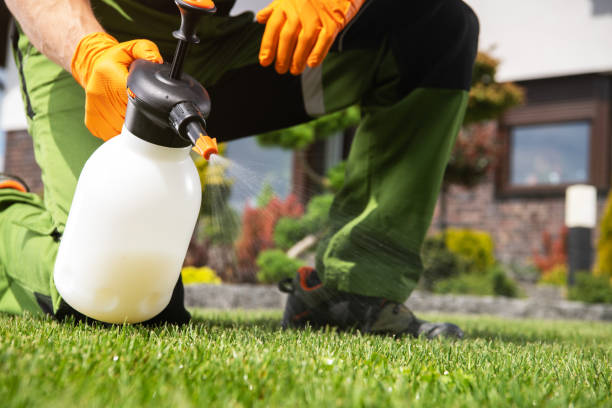 Best Local Pest Control Services  in Springfield, OR