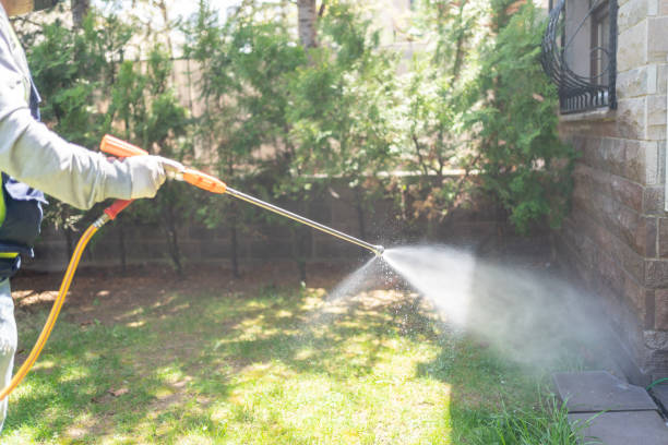 Best Pest Control Near Me  in Springfield, OR