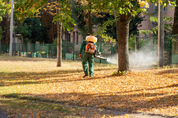 Best Wildlife Control Services  in Springfield, OR