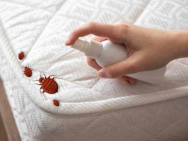 Best Pest Control Near Me  in Springfield, OR