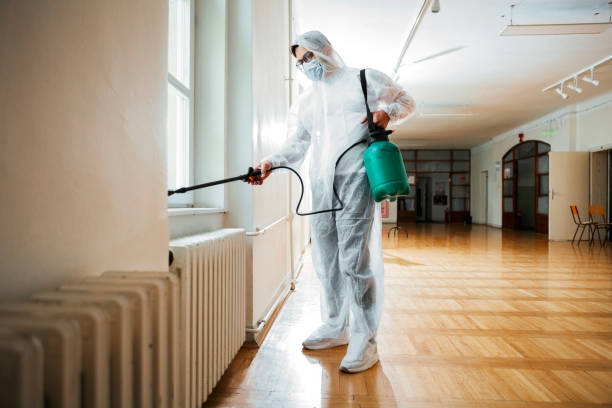 Insect Control in Springfield, OR