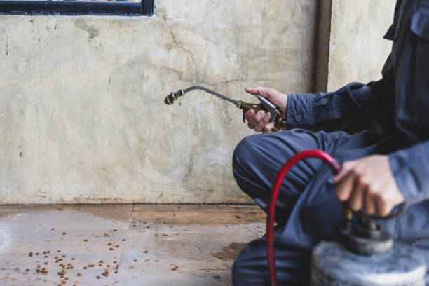 Best Mosquito Control Services  in Springfield, OR